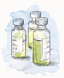 Bertolli Olive Oil Testing Sample
