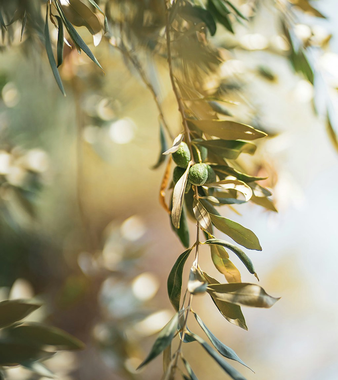 Leadership Comes With Accountability