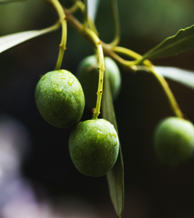 The Foundation of a World No.1 Brand