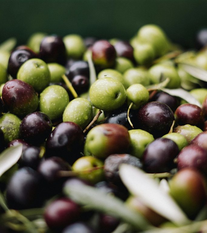 World’s No.1 Olive Oil